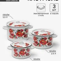 Набор кастрюль эмалированных &laquo;Маки. Мечта&raquo;, 3 предмета: 1.5 л, 2.9 л, 4.5 л, белый