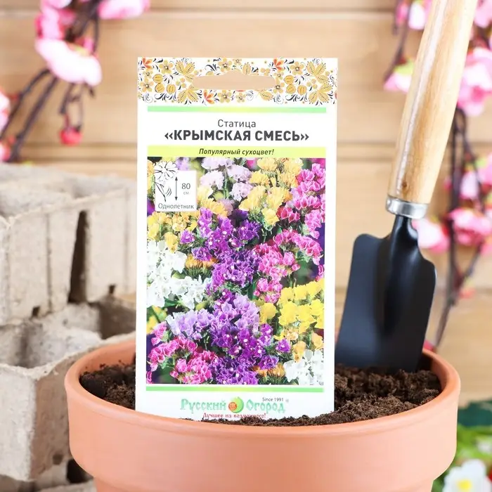 Семена цветов Статица Крымская, смесь, 0,2 г Семена цветов Статица Крымская, смесь, 0,2 г