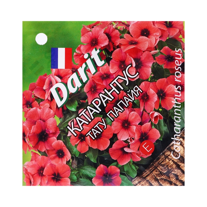 Семена цветов Катарантус  Семена цветов Катарантус "Тату Палайя", 7 шт