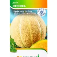 Семена Дыня &laquo;Эфиопка&raquo;, 10 шт., &laquo;Агрос&raquo;