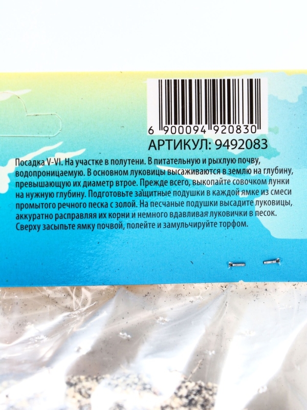 Лилии Трубчатые смотрящие вверх Pink Planet, луковица в пакете с перфорацией, р-р 14/16, 2 шт.