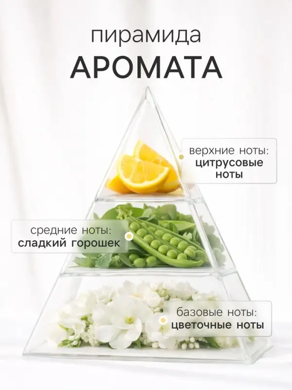 Наполнитель для ароматического диффузора ХО The Serenity, 100 мл