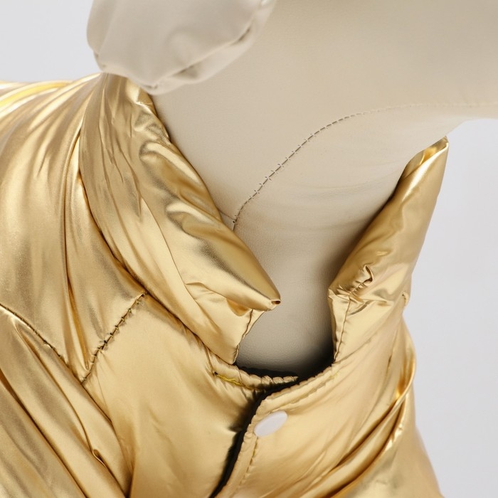 Куртка для собак  Куртка для собак "Космонавт", размер 10, чёрно-золотая (ДС 25, ОШ 30, ОГ 38 см)