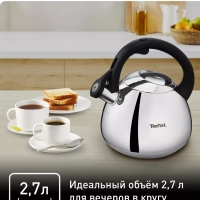 Чайник для плиты Duetto+ N4180110, 2.7 л, стальной