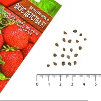 Семена Земляника &laquo;Вкус детства&raquo;, F1, &laquo;Агрофирма АЭЛИТА&raquo;, ремонтантная, крупноплодная, 7 шт.