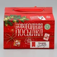 Коробка для сладостей «Новогодняя посылка», 10 х 18 х 14 см