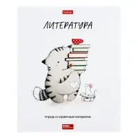 Предметная тетрадь по литературе Hatber &laquo;Приключения кота Пирожка&raquo;, 48 листов, в линейку, со справочным материалом, обложка из мелованной бумаг...