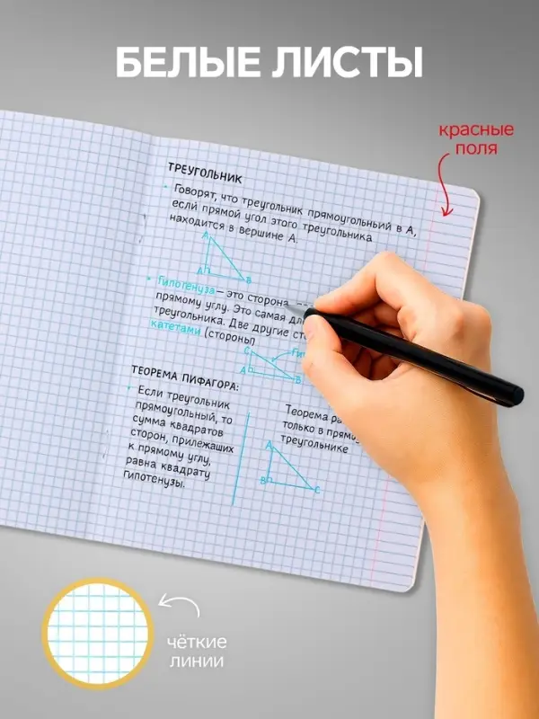 Комплект тетрадей из 10 штук, 24 листа в клетку Calligrata "Школьная", обложка мелованный картон, ВД-лак, блок офсет, 5 видов по 2 штуки