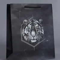 Пакет подарочный "Сила характера" ламинированный 26 х 12 х 32 см