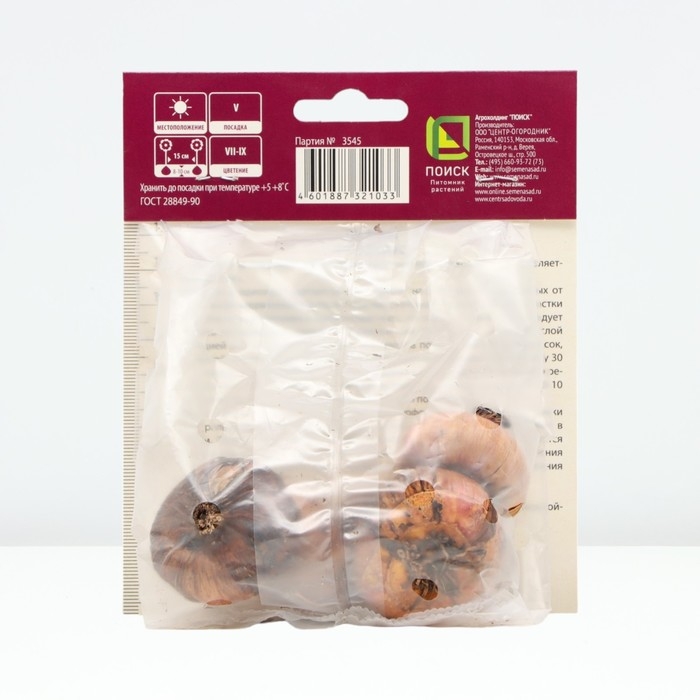 Гладиолус крупноцветковый «Бонфайр», луковица цветов в пакете с перфорацией, р-р 12/14, 5 шт.