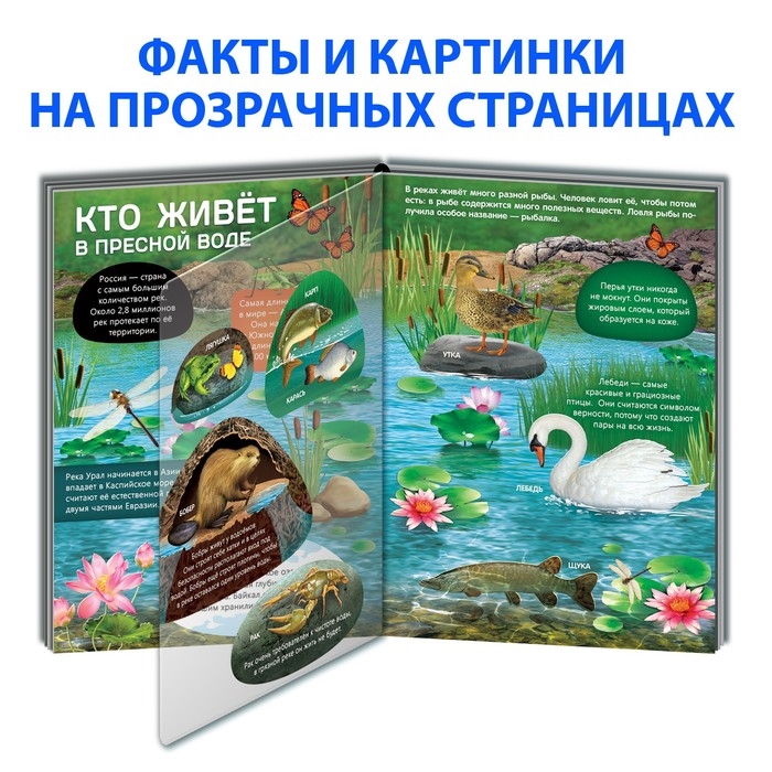 Книга с прозрачными страницами «Жизнь на земле. Животные и где они обитают», 30 стр. Книга с прозрачными страницами «Жизнь на земле. Животные и где они обитают», 30 стр.