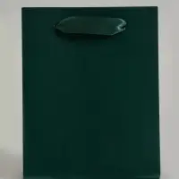 Пакет подарочный ламинированный, упаковка, &laquo;Изумрудный&raquo;, S 12&times;15&times;5.5 см