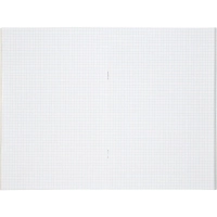 Книга учета Выбор есть А4 48л клетка блок типограф обл. картон