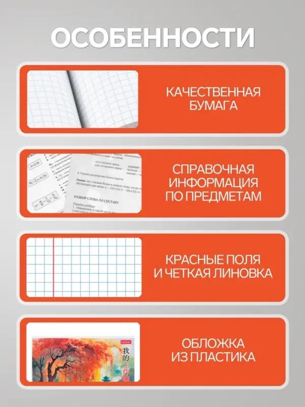 Предметная тетрадь по русскому языку Hatber &laquo;Искусство Азии&raquo;, 48 листов, в линейку, со справочным материалом, пластиковая обложка с печатью