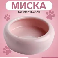 Миска, 100 мл, 10&times;3.2 см, керамика, нежно-розовая