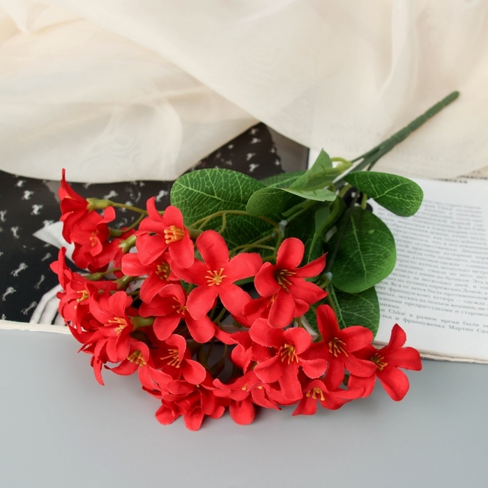 Букет Букет "Кампсис элит" 27 см, микс