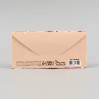 Конверт для денег &laquo;Денег много не бывает!&raquo;, 16.5&times;8 см