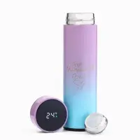 Термос &laquo;Ты можешь всё&raquo;, 500 мл, с ситечком, с датчиком температуры