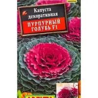 Семена цветов Капуста декоративная Пурпурный голубь F1  С. Takii Seed, Ц/П,7 шт.