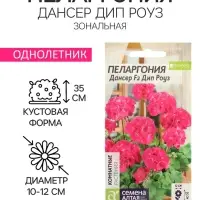 Семена цветов Пеларгония "Дансер Дип Роуз", зональная, Сем. Алт, ц/п, 3 шт