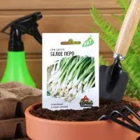 Семена Лук на зелень "Белое перо", ц/п,  0,5 г  серия ХИТ х3 Семена Лук на зелень "Белое перо", ц/п,  0,5 г  серия ХИТ х3