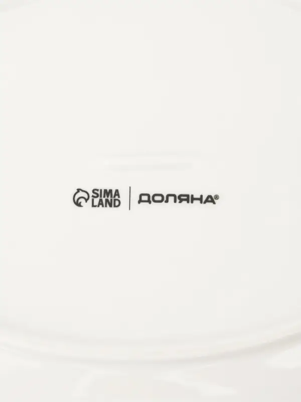 Блюдо для подачи Доляна &laquo;Зелёный сад&raquo;, 25&times;18.5 см, фарфор, белое