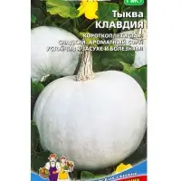 Семена Тыква &laquo;Клавдия&raquo; 6 шт.