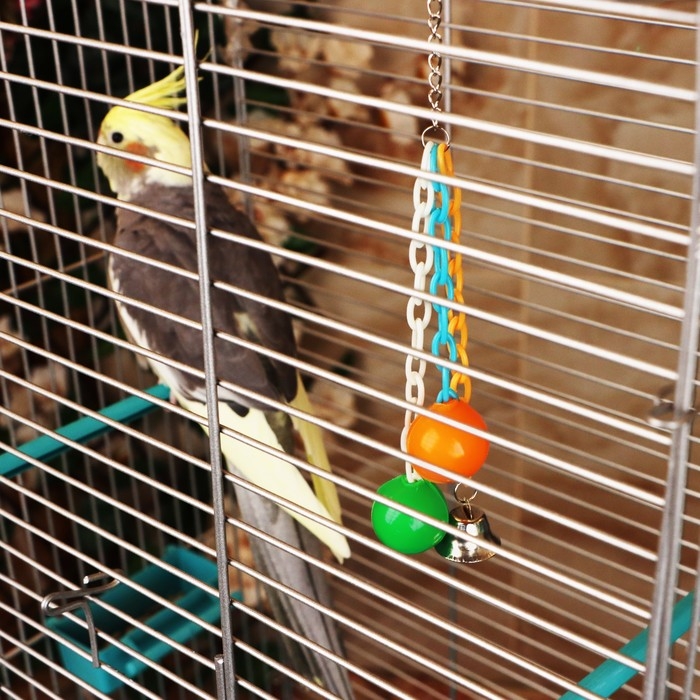 Игрушка для птиц   Игрушка для птиц  "Погремушка", микс