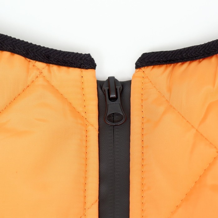 Куртка для больших собак, мембрана, 4XL (ДС 55, ОШ 53, ОГ 73см),серо-оранжевая