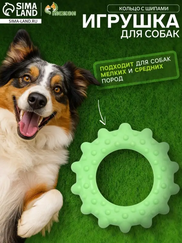 Жевательная игрушка для собак &laquo;Кольцо с шипами&raquo;, 8.5 см, TPR, зелёная