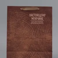 Пакет подарочный крафтовый, упаковка, &laquo;Нереальных высот&raquo;, M 25.5&times;30&times;9 см