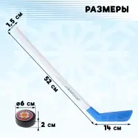 Игровой набор &laquo;Хоккеист&raquo;, 2 клюшки, 2 шайбы