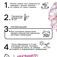 Семена цветов Петуния "Яромнерже", 5 шт.