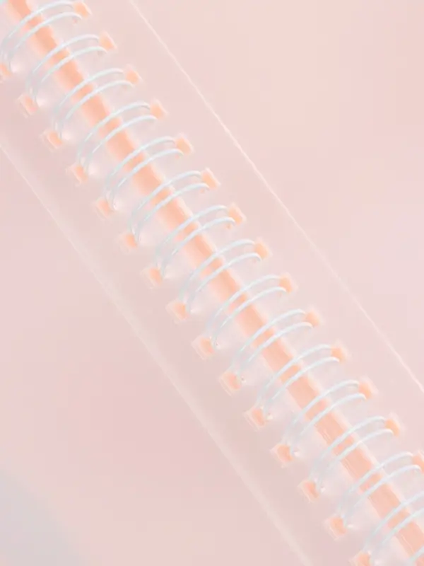 Нотная папка - 30 файлов 60 листов розовая