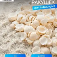 Набор ракушек декоративных 1.5-3 см, 100 г