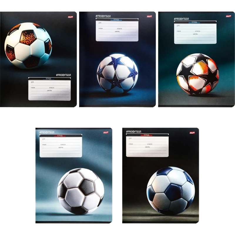 Тетрадь КЛЕТКА 12л. ФУТБОЛЬНЫЕ МЯЧИ - 20 цвет. мелов.обл.ассорти 12-0924)