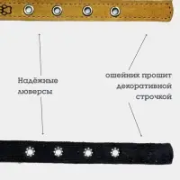 Ошейник, 45&times;2 см, с подкладом, тиснение, кожа, бежевый