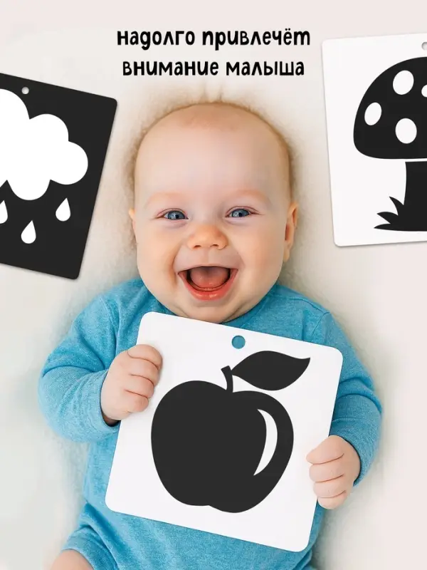 Книжки - гармошки картонные детские &laquo;Смотри, малыш!&raquo;, набор 6 шт.