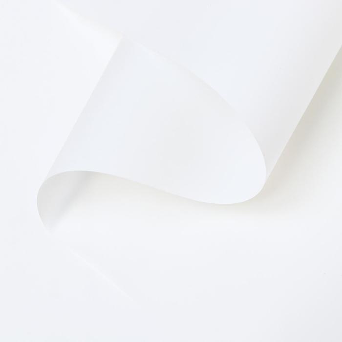 Пленка для цветов Пленка для цветов "Люкс", матовая, белая, 0,6 х 10 м, 200 г, 40 мкм