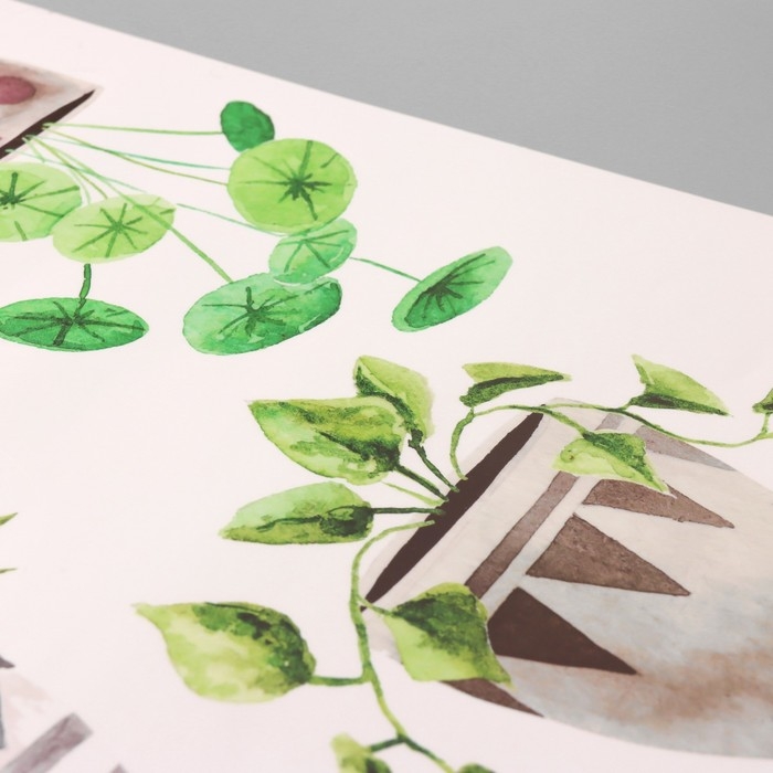 Наклейка пластик интерьерная цветная Наклейка пластик интерьерная цветная "Комнатные цветы" 40х60 см