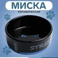 Миска &laquo;Черный кот&raquo;, 300 мл, 12.5&times;12.5&times;4.5 см, керамика, черная