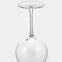 Набор бокалов для вина &laquo;Восхищение&raquo;, 500 мл, 6 шт., размер одного бокала 10&times;22 см, стекло, прозрачный