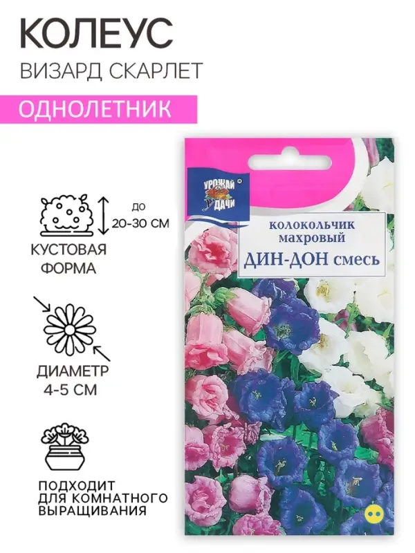 Семена цветов Колокольчик "ДИН-ДОН", Смесь, 0,1г