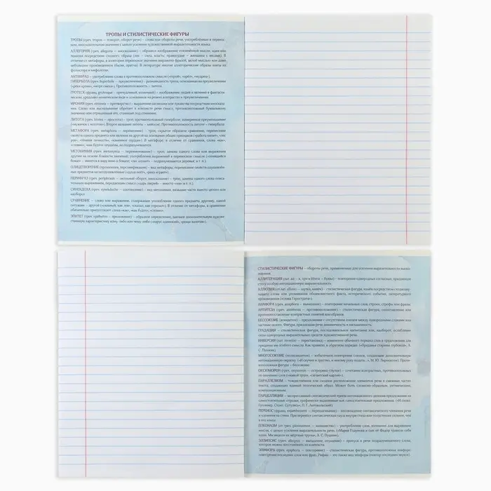 Тетрадь в линейку, предметная, 36 л.,на скрепке, блок №1 &laquo;Мрамор. Литература&raquo;