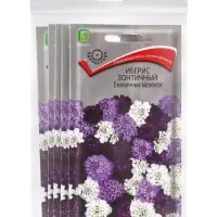 Набор семян Иберис зонтичный "Ежевичные меренги", 5 шт. Набор семян Иберис зонтичный "Ежевичные меренги", 5 шт.