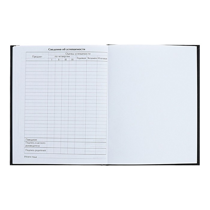 Дневник для 1-4 классов Дневник для 1-4 классов "Девочка-подросток", твёрдая обложка, глянцевая ламинация, 48 листов