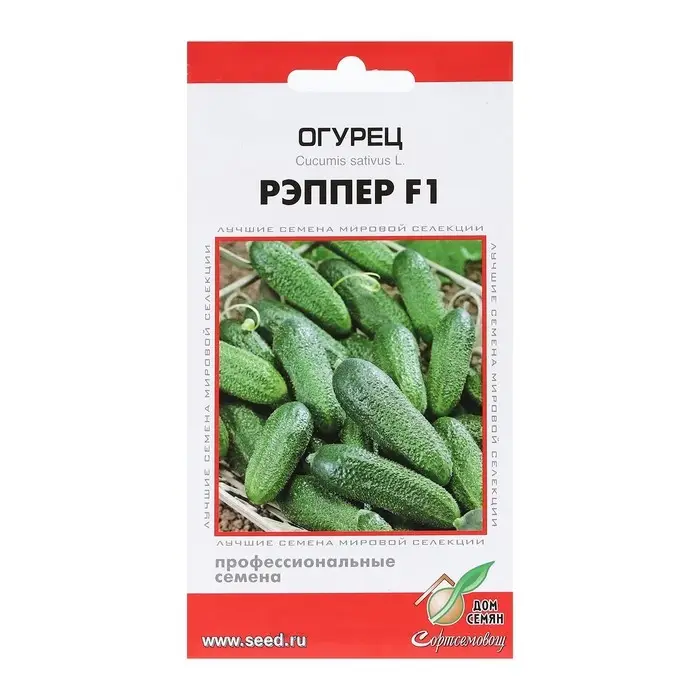 Семена Огурец "Рэппер",  F1,  6 шт