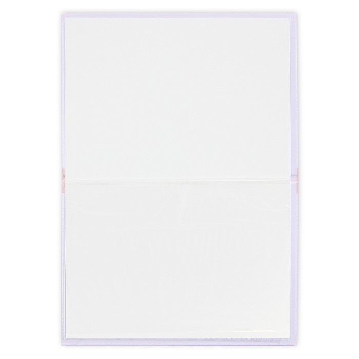 Папка для свидетельства о рождении «Первый документ», А5. Папка для свидетельства о рождении «Первый документ», А5.