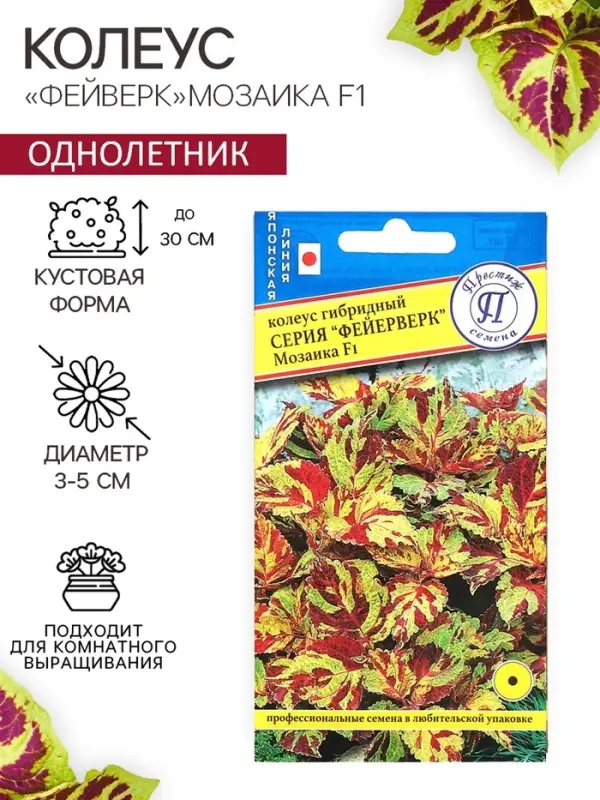 Семена цветов Колеус  Семена цветов Колеус "Фейерверк" Мозаика F1, О, 10 шт