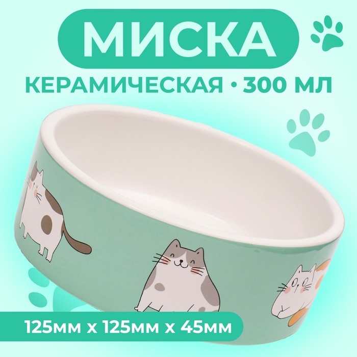 Миска керамическая  Миска керамическая "Котяры" 300 мл  12,5 x 4,5 cм, бело-зелёная